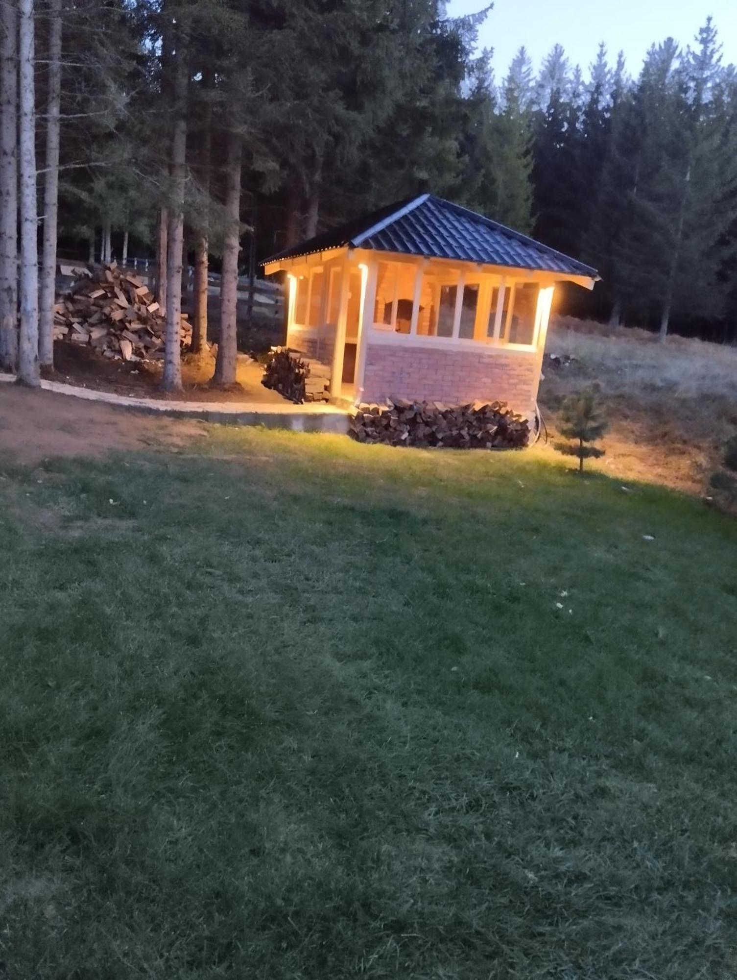 Mila House Tara Villa Bajina Basta Eksteriør bilde